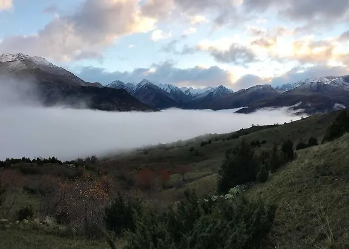 Mimosa 7 - Tucasaenlospirineos